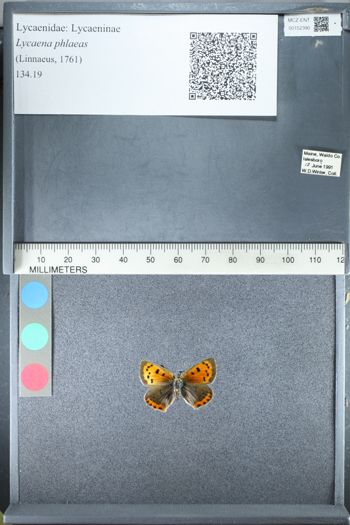 Media type: image;   Entomology 152390
